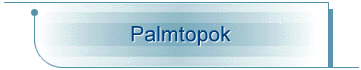 Palmtopok